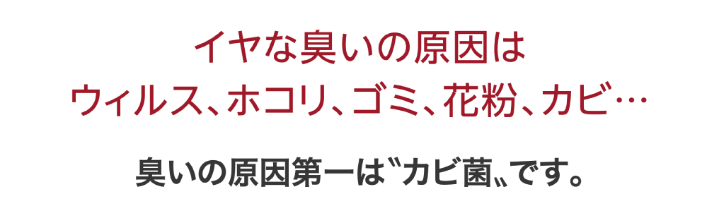 イヤな臭いの原因はウィルス、ホコリ、ゴミ、花粉、カビ…臭いの原因第一は?カビ菌?です。