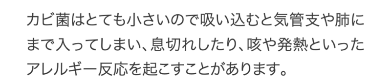 カビ菌はとても小さいので吸い込むと気管支や肺にまで入ってしまい、息切れしたり、咳や発熱といったアレルギー反応を起こすことがあります。